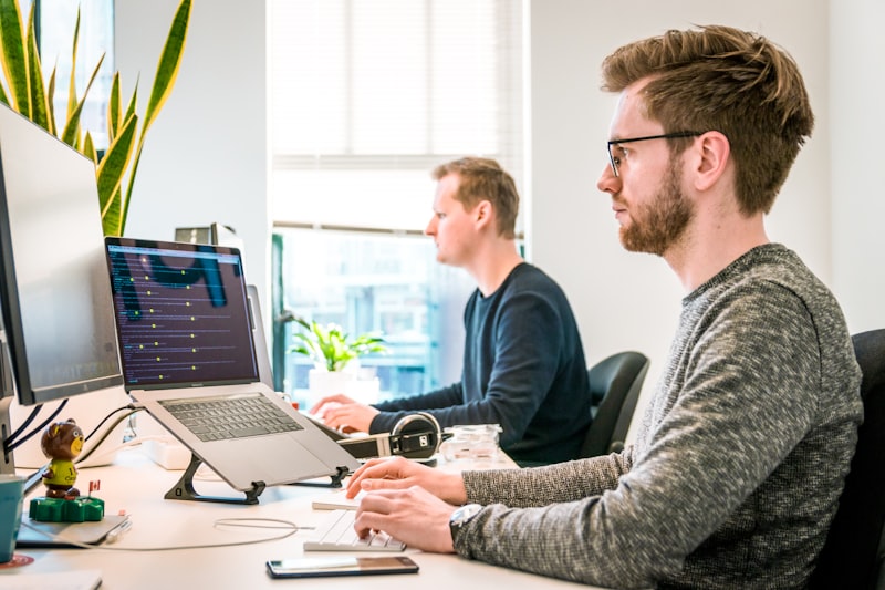 Professional programming team at work